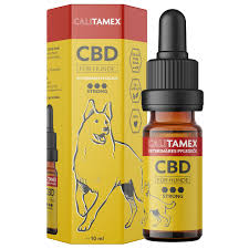 CBD Öl für Hunde kaufen